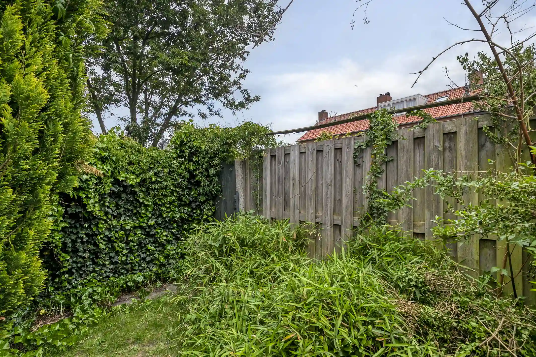 Biesterweg335615aeEindhoven-49