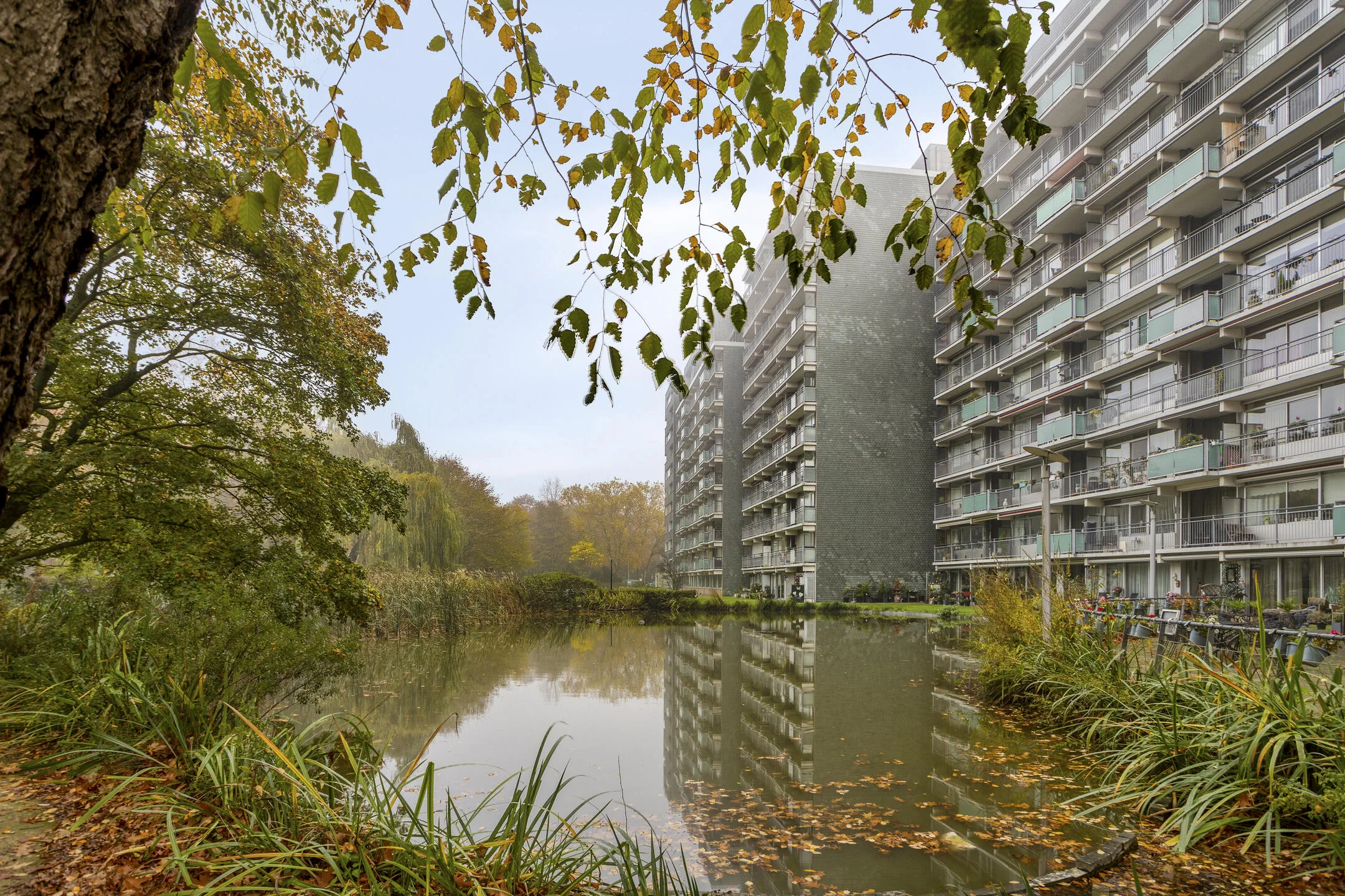 Herodotusplein 226 te Eindhoven